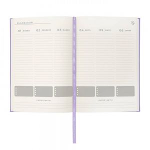 AGENDA DIARIA TERRA 2027 personalizada